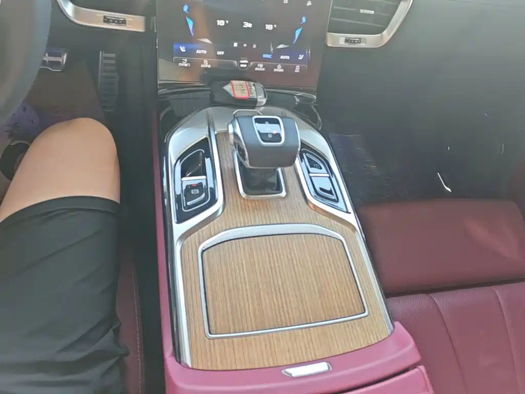 Hongqi E-HS9 2024 2021 460km Flagship Comfort 6-seater