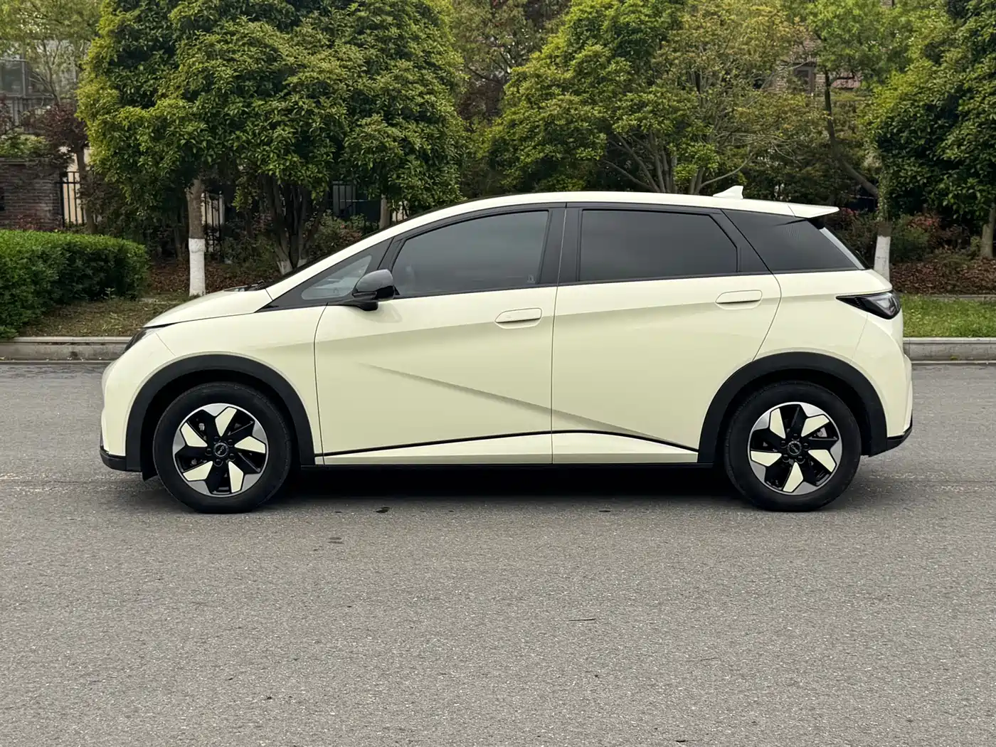 BYD Dolphin 2024 Glory Edition 420km Fashion Edition фото 13