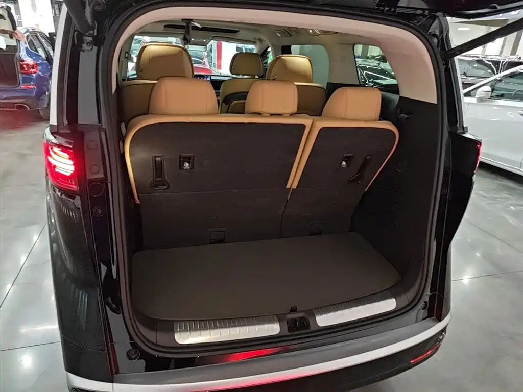 Denza D9 2024 DM-i 980 AWD Prestige фото 19