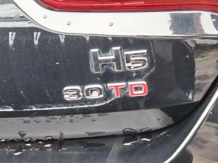 Hongqi HONGQI H5
