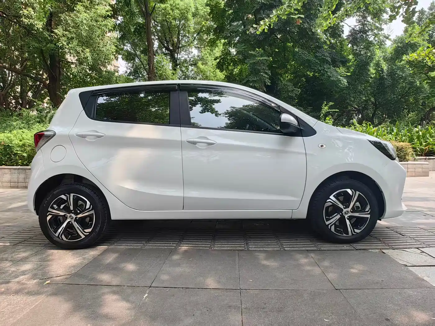Changan Benben E-Star 2023 2023 Appreciation Edition Colorful Version (LFP)