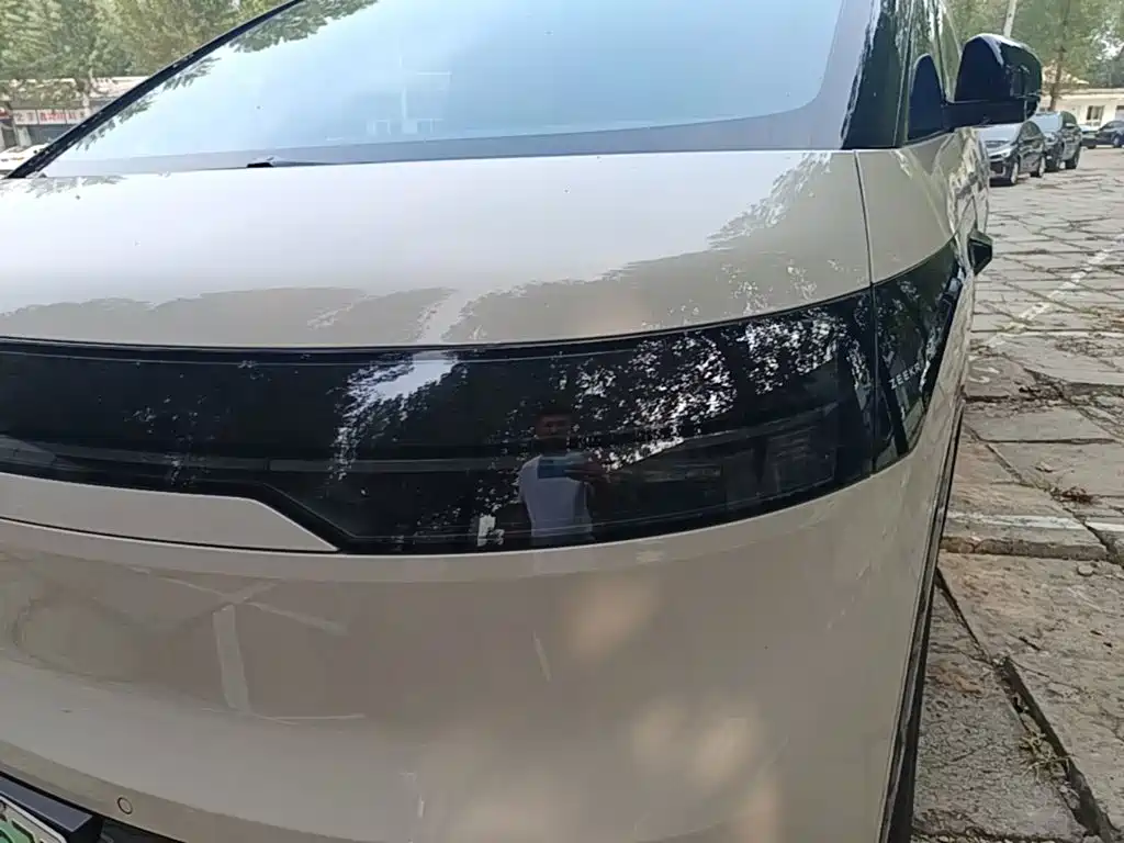 ZEEKR MIX 2025 2025 Long Range Intelligent Driving Edition