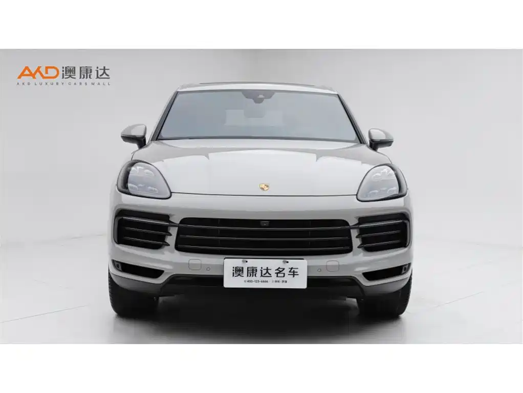 Porsche Cayenne 2022 Cayenne 3.0T Platinum Edition фото 2