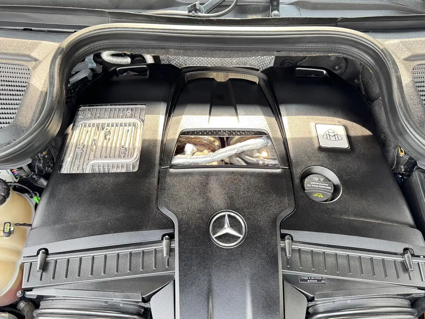 Mercedes-Benz Maybach GLS 2021 GLS 600 4MATIC Ritual Edition фото 23