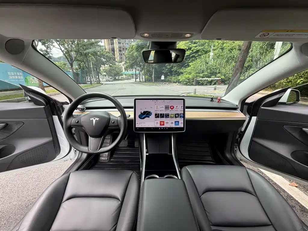 Tesla Model 3 2020 2020 Standard Range Rear-Wheel Drive Upgrade