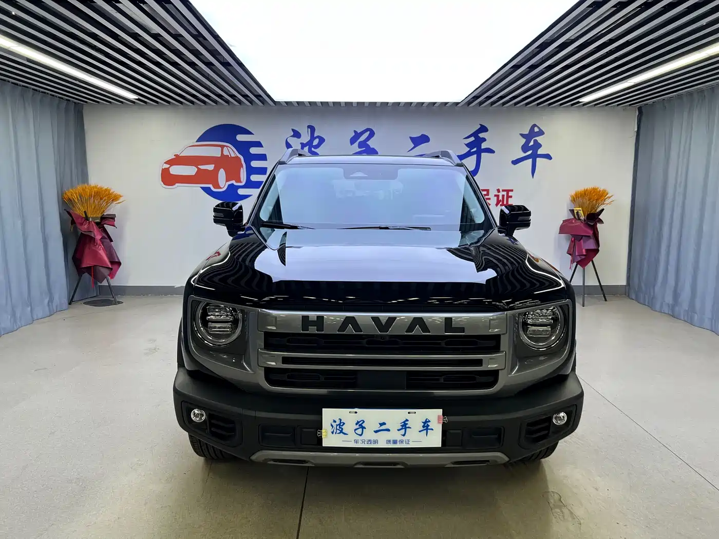 HAVAL BIG DOG