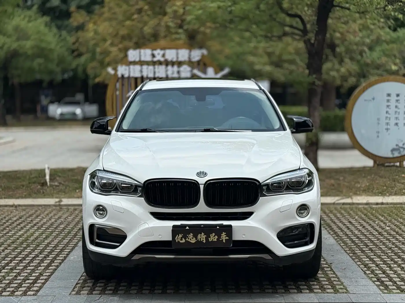 BMW X6 2017 xDrive35i Luxury фото 2