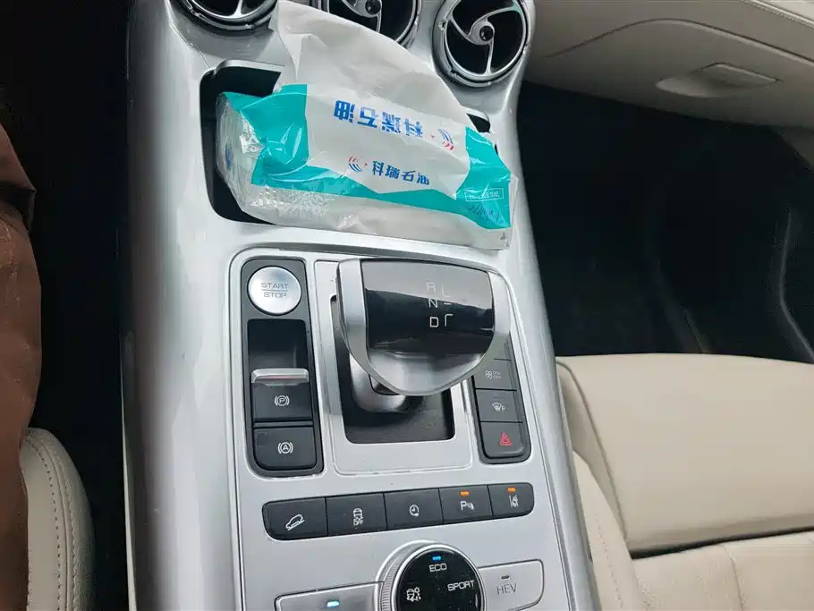 Denza X 2020 Model PHEV Flagship Edition фото 16