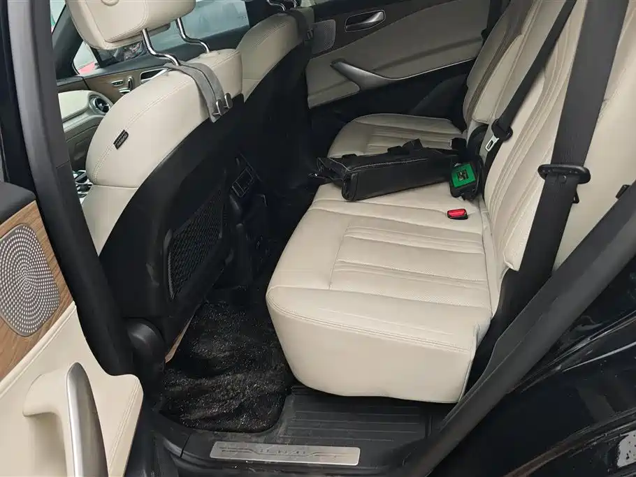 Denza X 2020 Model PHEV Flagship Edition фото 11