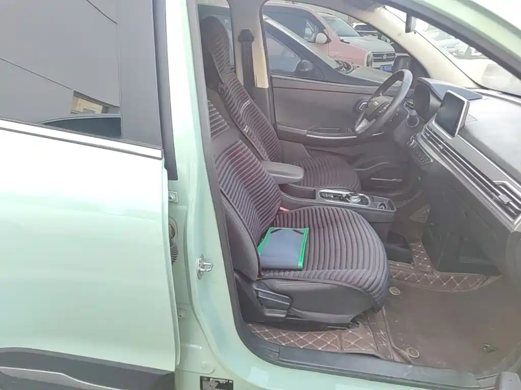 Dayun Yuehu 2022 2022 30.66kWh 2WD VIP Edition