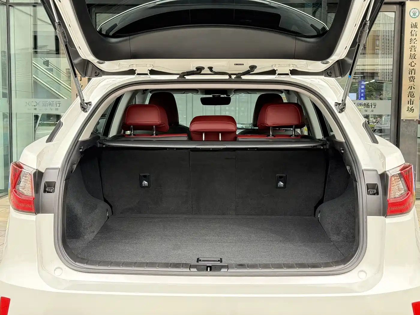Lexus RX 2016 300 2WD Elite Edition (China V) фото 19