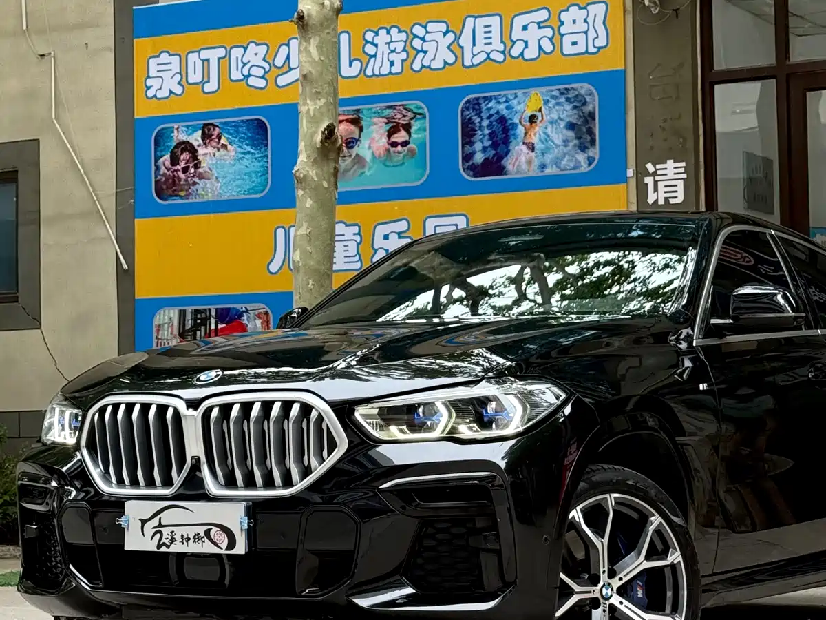 BMW X6