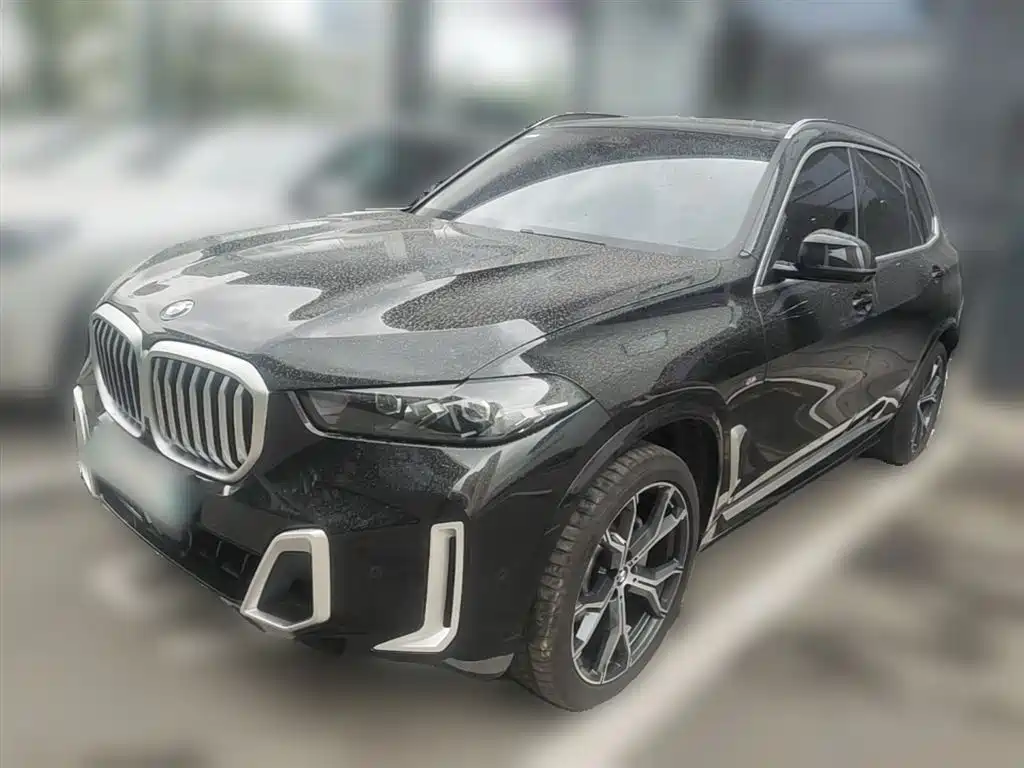 BMW X5 2023 xDrive 30Li Premium M Sport Package фото 3