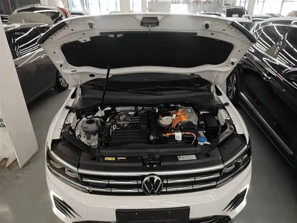 VOLKSWAGEN TIGUAN L NEW ENERGY