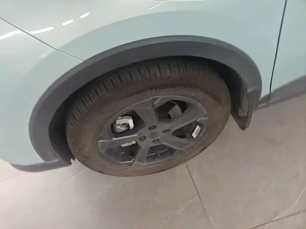 Geely Geometry E Firefly 2023 2024 Model 301km Starlight