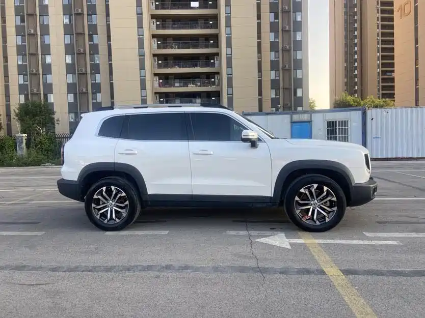 Фото 4 - Haval Dargo