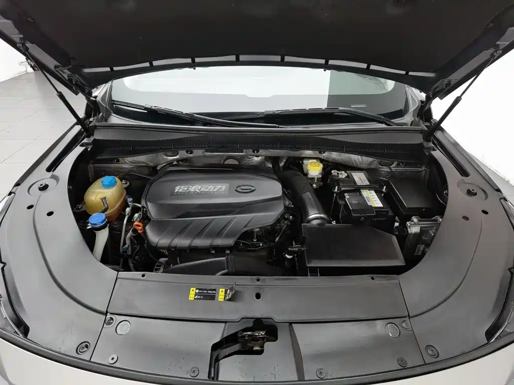 GAC Trumpchi Trumpchi GS4 PLUS 2021 2021 390T Automatic Nebula Edition