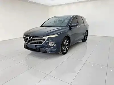 Wuling Victory