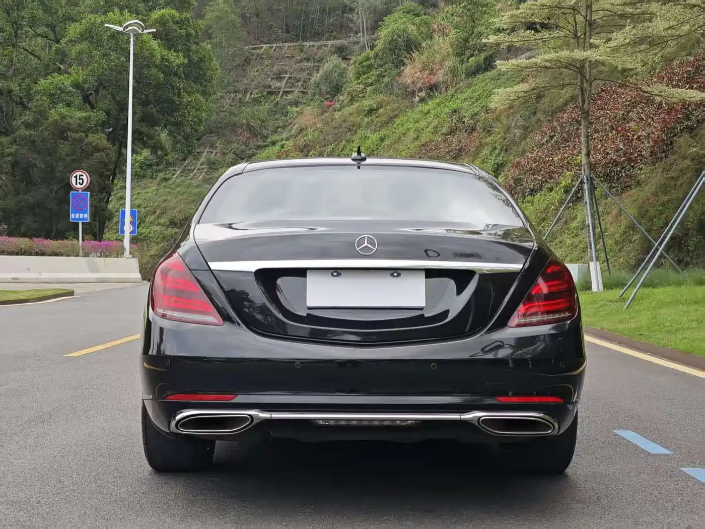 Mercedes-Benz S-Class 2020 S 350 L Premium Edition Collector's Version фото 6