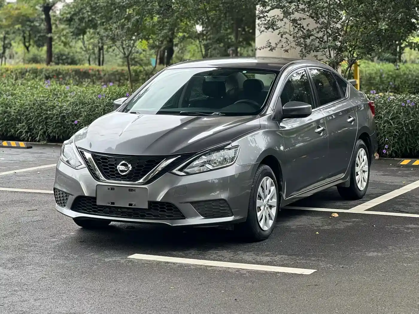 Фото 1 - Nissan Sylphy