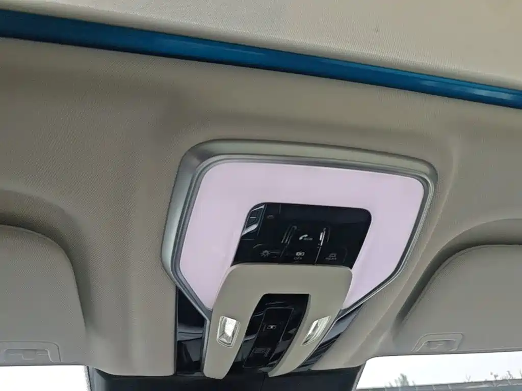 Hongqi E-HS9 2023 2021 460km Flagship Comfort 6-seater