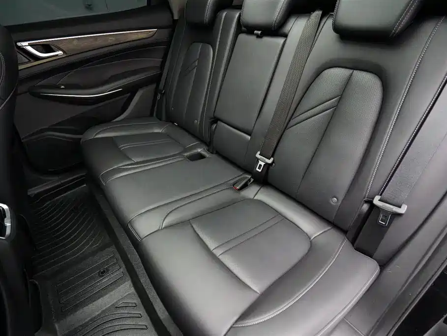 Landian E5 2024 2023 1.5L DE-i 100KM Enjoyment 5-Seater