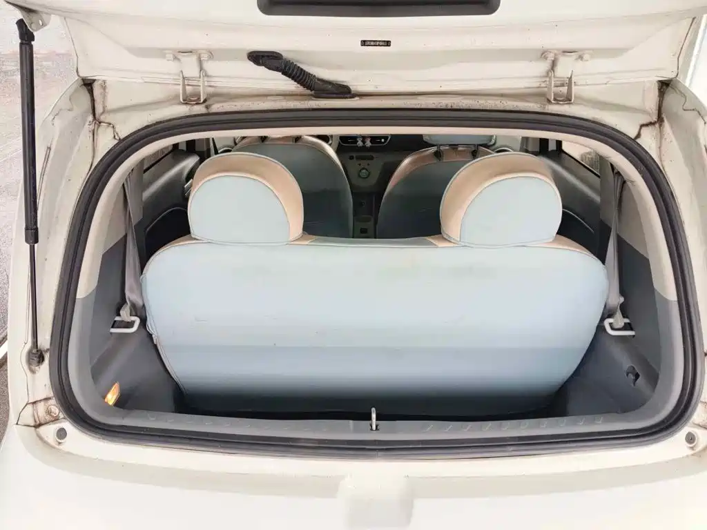 Ora White Cat 2021 2020 305km Luxury