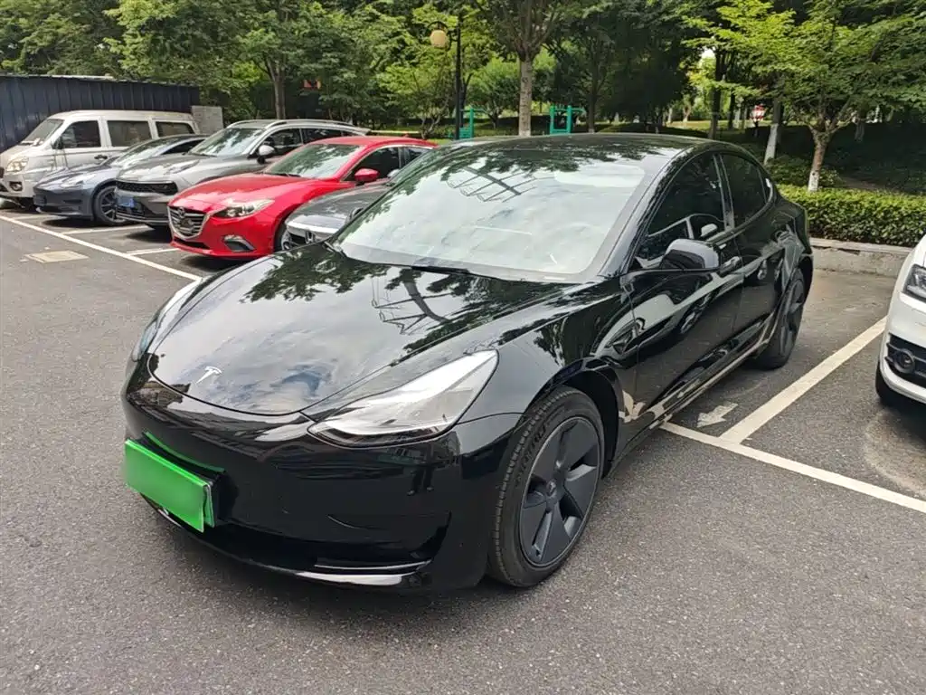 Tesla Model 3 2022 Model Rear-Wheel Drive Version