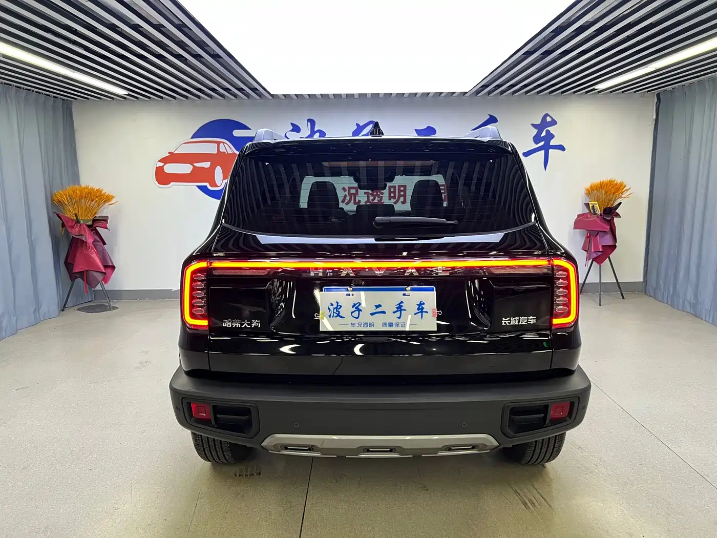 HAVAL BIG DOG