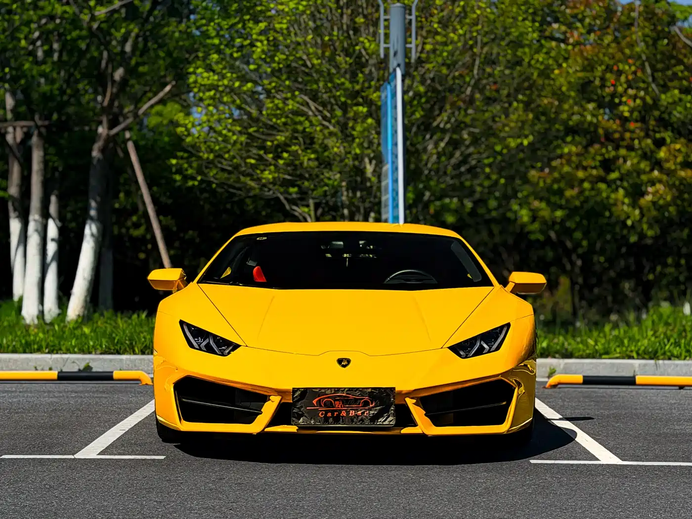 Lamborghini Huracán 2016 Huracán Coupe фото 2