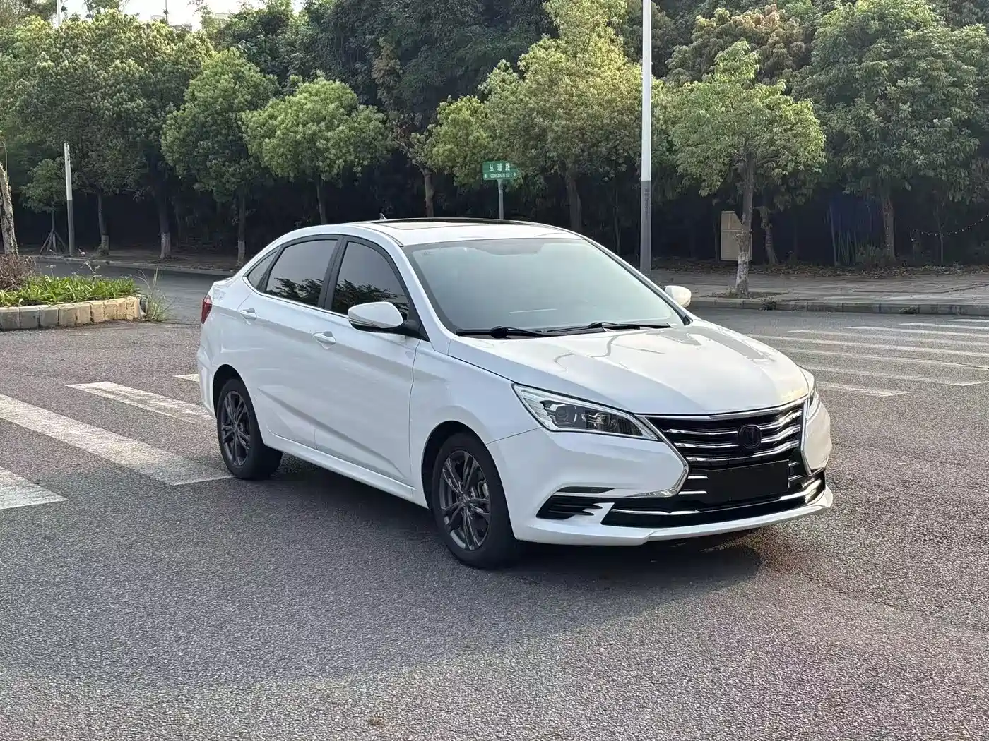 CHANGAN YIDONG DT