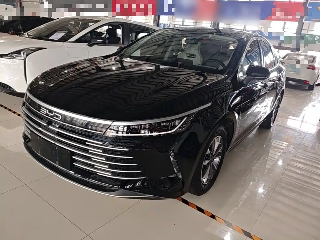 BYD Destroyer 05 2024