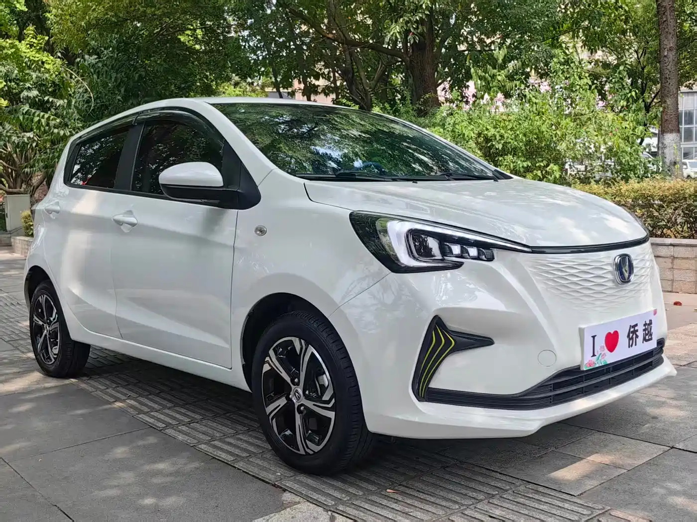 Changan Benben E-Star 2023 2023 Appreciation Edition Colorful Version (LFP)