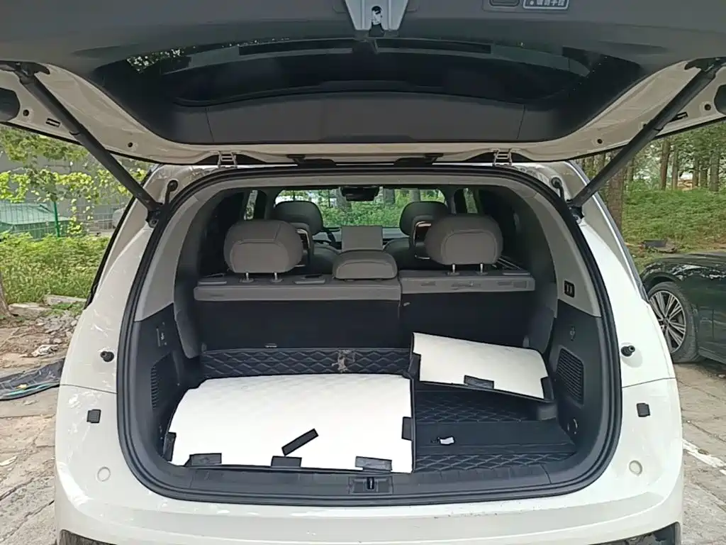 ZEEKR MIX 2025 2025 Long Range Intelligent Driving Edition