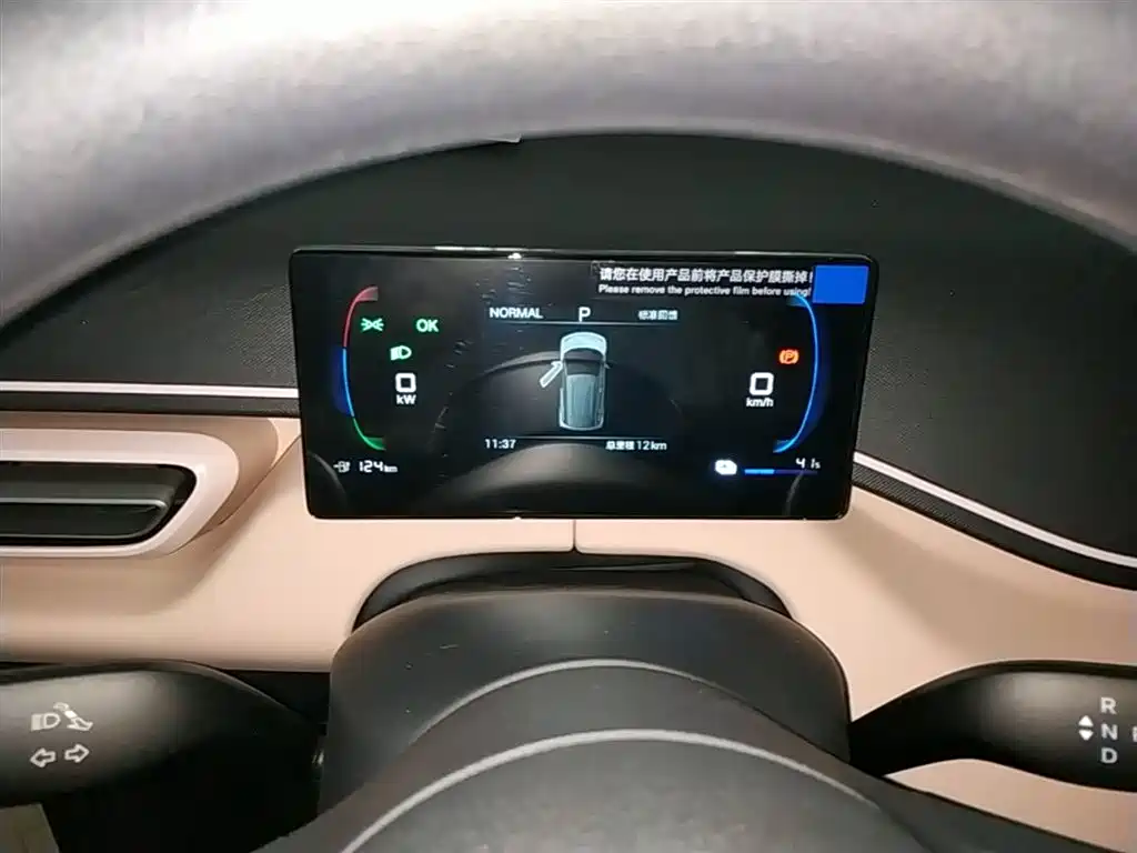 BYD Seagull 2026 2025 Smart Drive Edition 305km Vitality Version