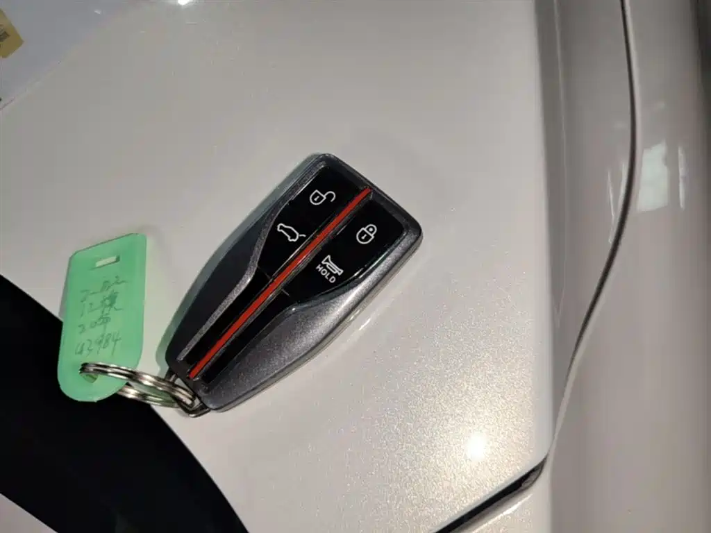 Hongqi HS5 2019 2.0T Smart Connect Enjoy 4WD Edition фото 9