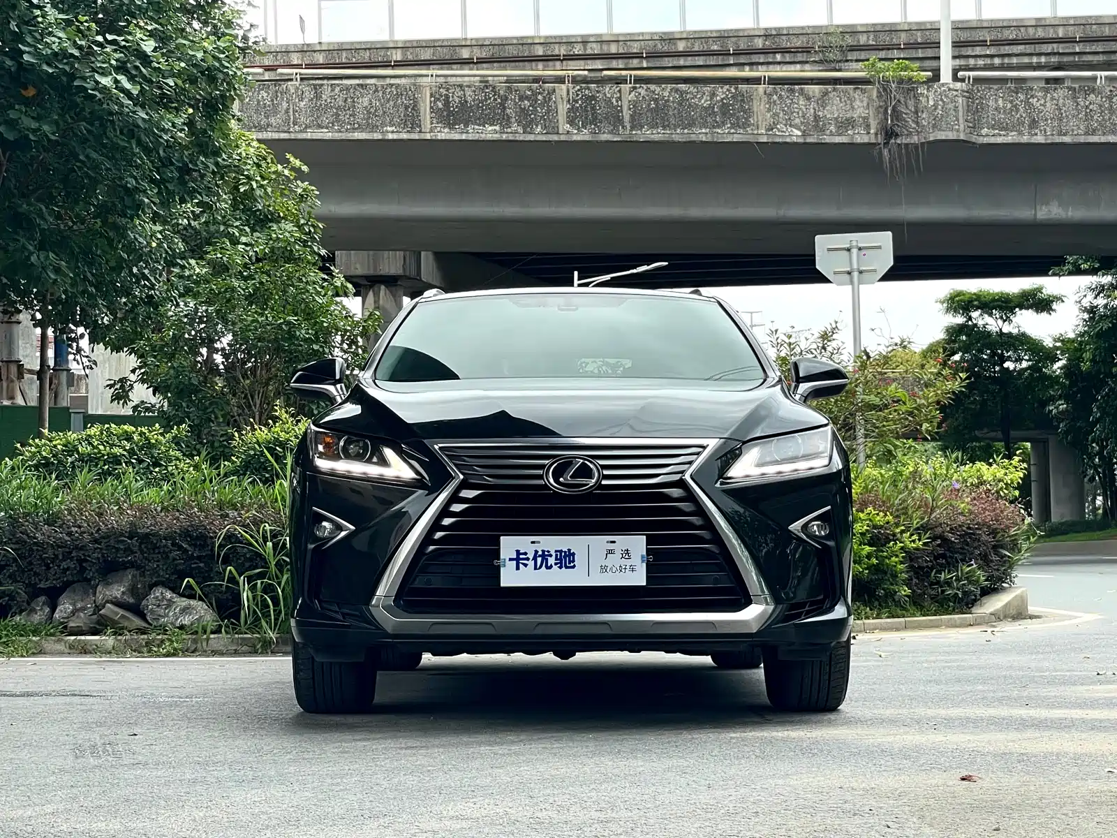 Фото 2 - Lexus RX