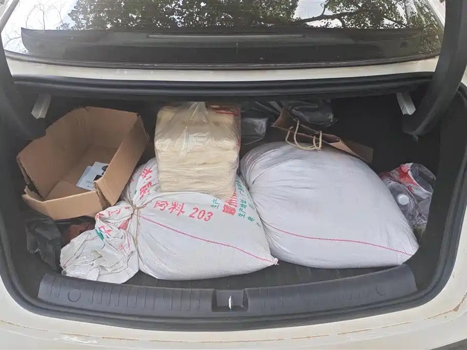 BYD SEAL 06 NEW ENERGY