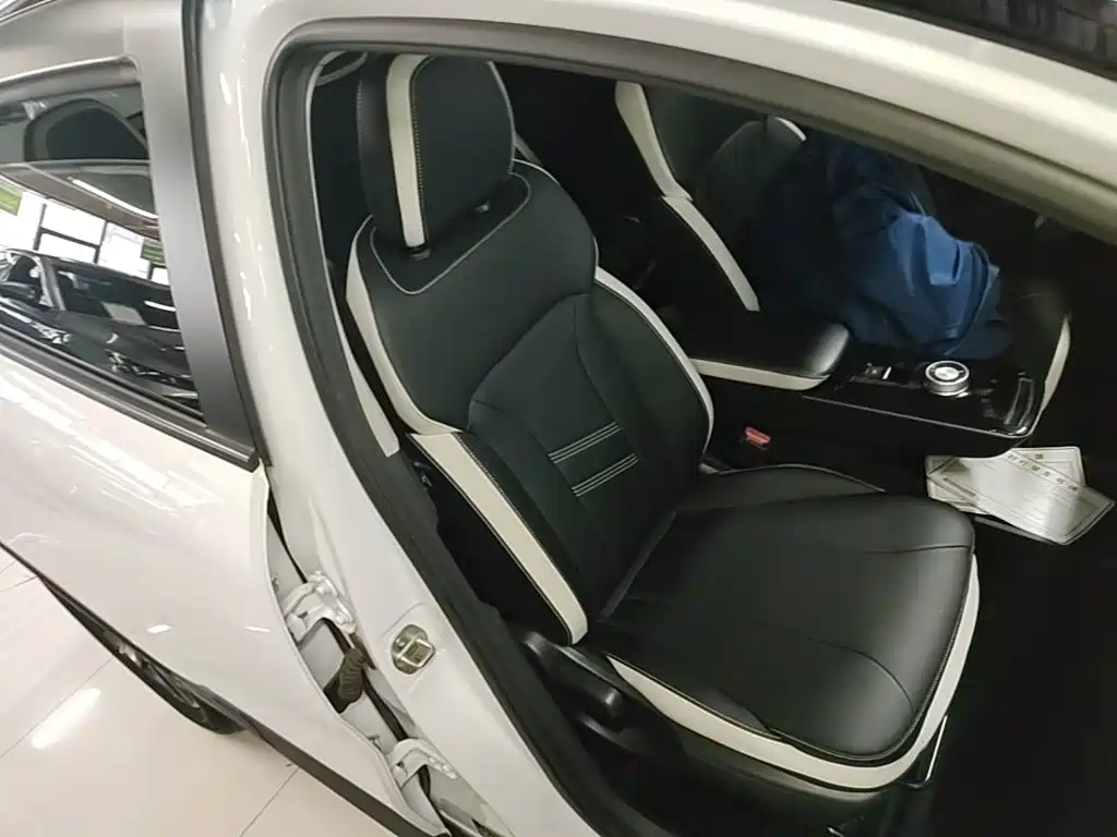 Geely Geometry E Firefly 2022 2022 401KM Delicate Tiger 4-seater