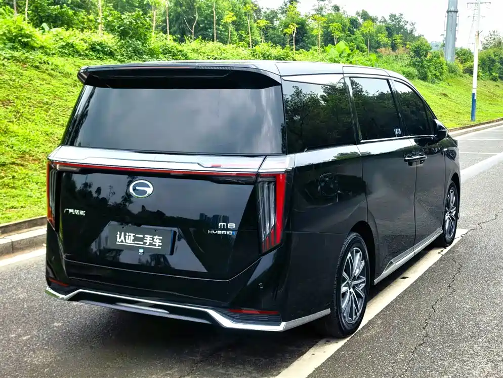 GAC Trumpchi Trumpchi M8 2024 Master Series Super Hybrid фото 7