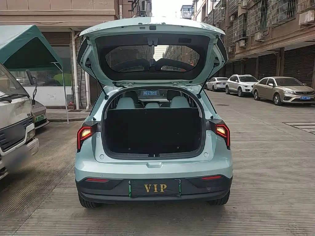 Geely Geometry E Firefly 2024 2024 Model 401km Fluorescent