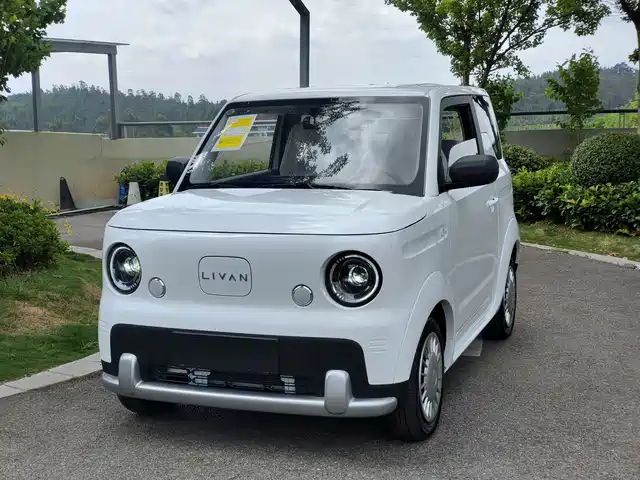  Ruilan Auto Ruilan Blue Elf 2025 Base Model