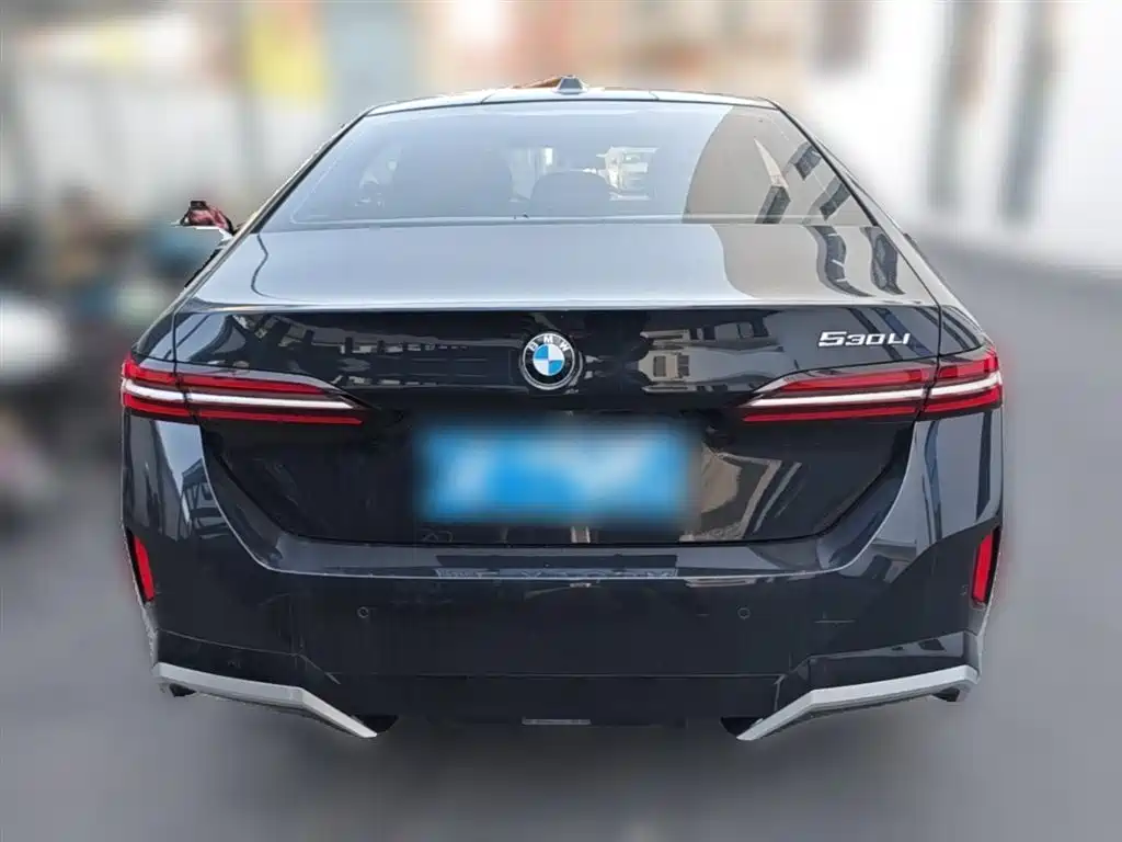 BMW 5 Series 2024 530Li Leading M Sport Package фото 10