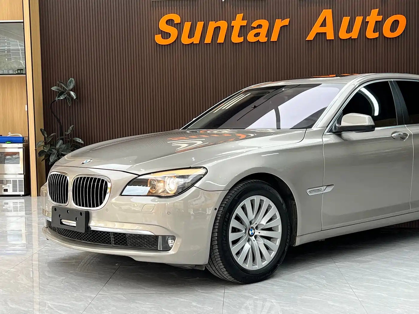 BMW 7 Series 2010 750Li фото 9