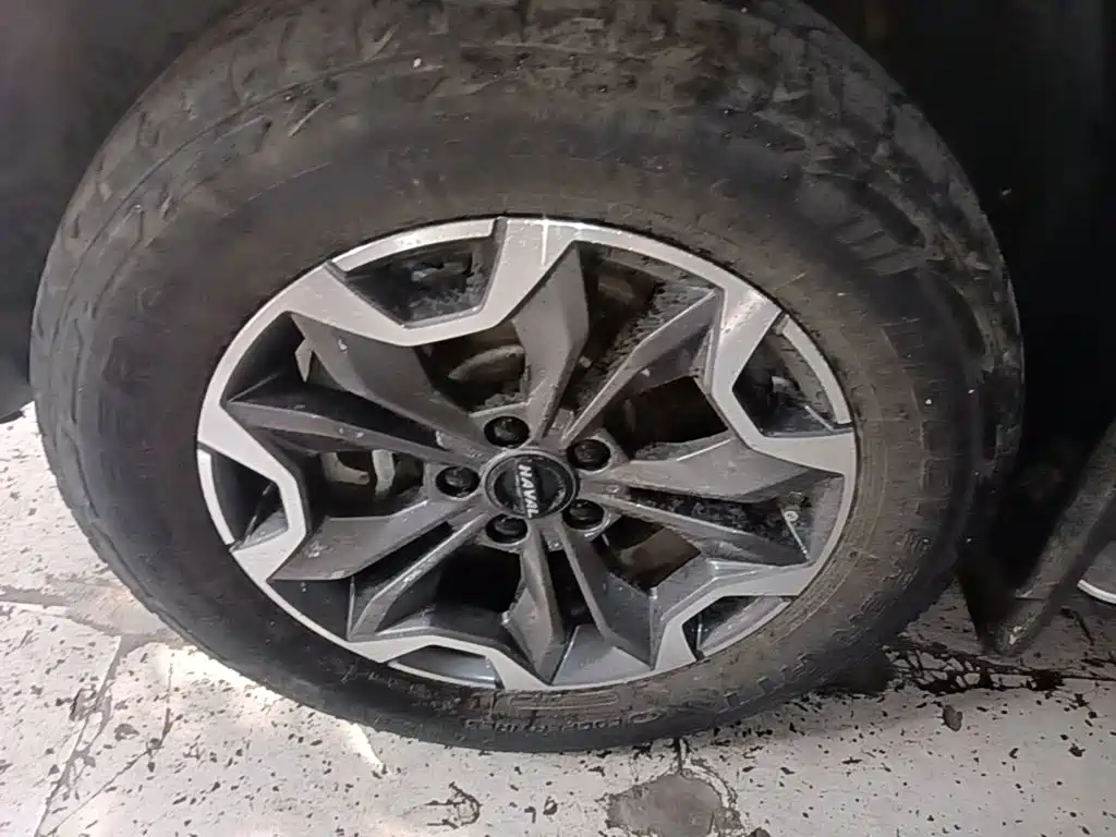 Haval Dargo 2021 2021 2.0T DCT AWD Howling Celestial Dog Edition