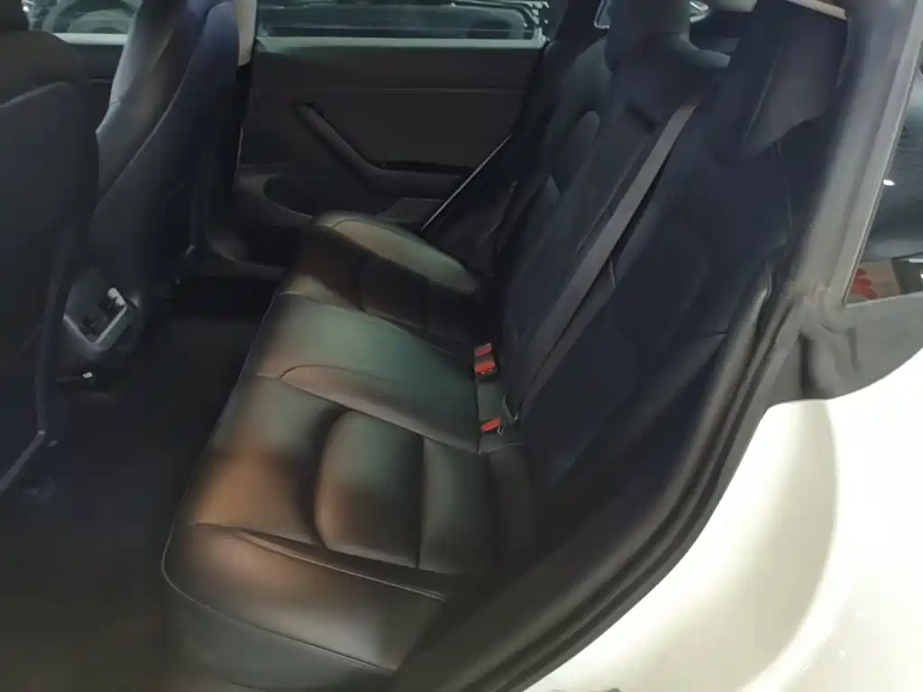 Tesla Model 3 2020 2020 Standard Range Rear-Wheel Drive Upgrade
