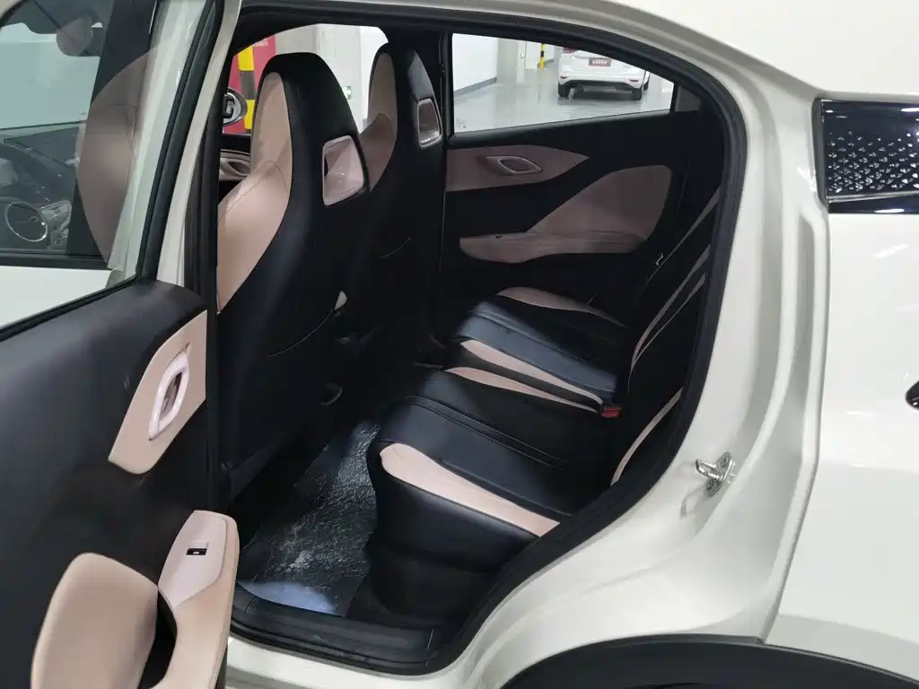 BYD Seagull 2026 2025 Smart Drive Edition 305km Vitality Version