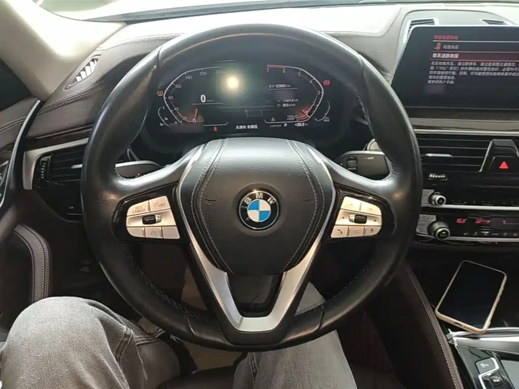 BMW 5 Series 2020 525Li Luxury Package фото 11