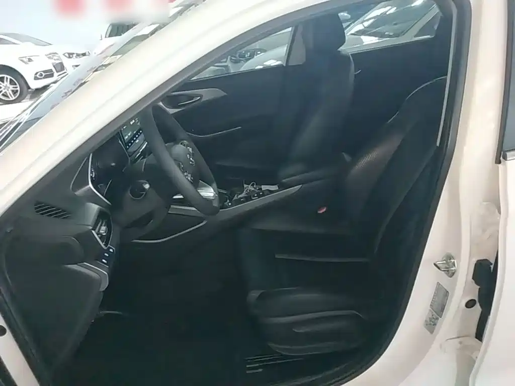Hyundai Fista 2022 2021 280TGDi GLX Elite Edition