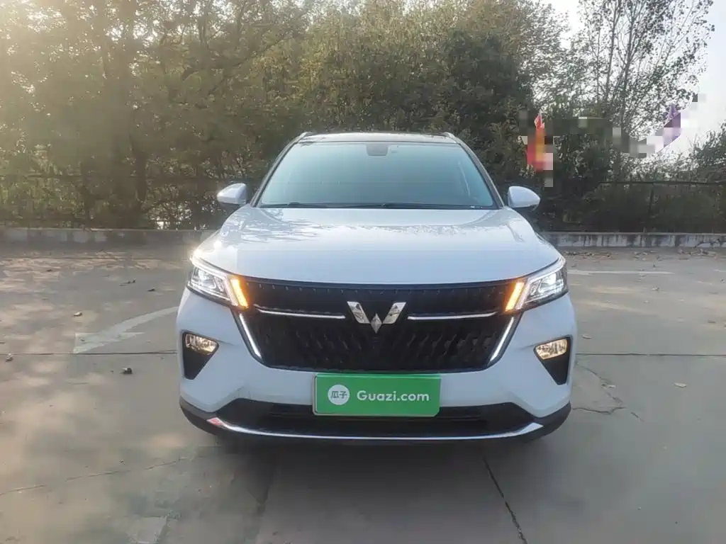 Wuling Motors Wuling Xingchen 2022 2022 2.0L DHT Electric Speed Edition